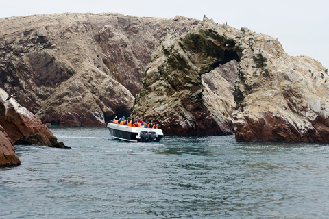 Ilhas Ballestas e Tambo Colorado a partir do porto de San MartinIlhas Ballestas e Tambo Colorado do porto de San Martin