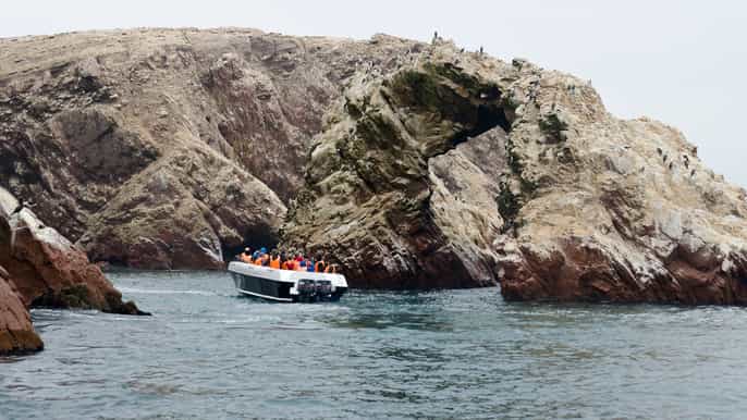 islas ballestas y tambo colorado desde el puerto de san martín