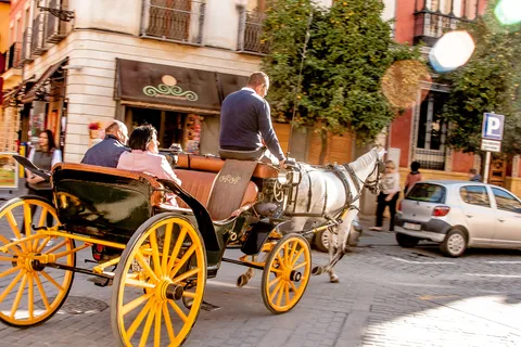 Seville: Authentic and Romantic Horse-Drawn Carriage Ride