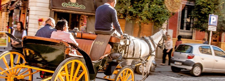 Seville: Authentic and Romantic Horse-Drawn Carriage Ride