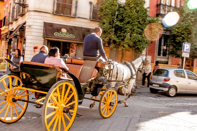 Visit Seville Authentic and Romantic Horse-Drawn Carriage Ride in Seville, Spain