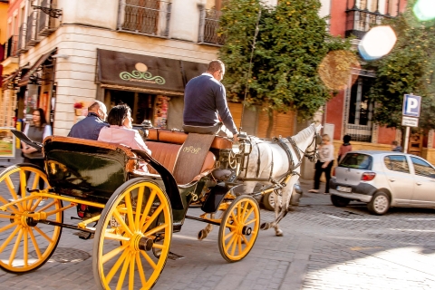 Sevilla: Authentische und romantische PferdekutschenfahrtSevilla: Romantische Fahrt mit der Pferdekutsche
