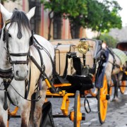 Sevilla: paseo romántico en coche de caballos auténtico