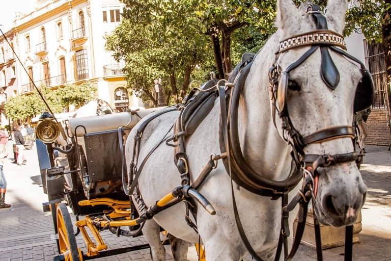 Sevilla: Authentieke en romantische rit met een paardenkoetsSevilla: authentieke en romantische rit met paard en wagen