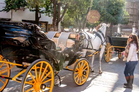 Seville: Authentic & Romantic Horse-Drawn Carriage Ride