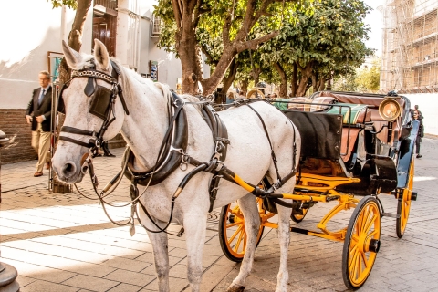 Sevilla: Authentieke en romantische rit met een paardenkoetsSevilla: authentieke en romantische rit met paard en wagen