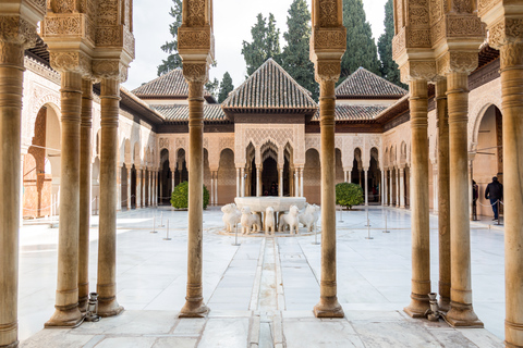 Granada: Tour guidato di 3 ore dell&#039;Alhambra e dei giardini del GeneralifeTour guidato dell&#039;Alhambra e dei giardini del Generalife