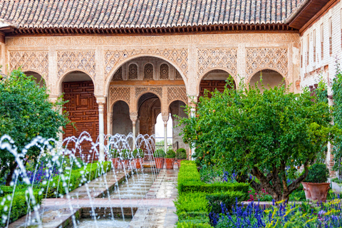 Granada: Alhambra y Palacios Nazaríes Tour PrivadoTour privado en italiano