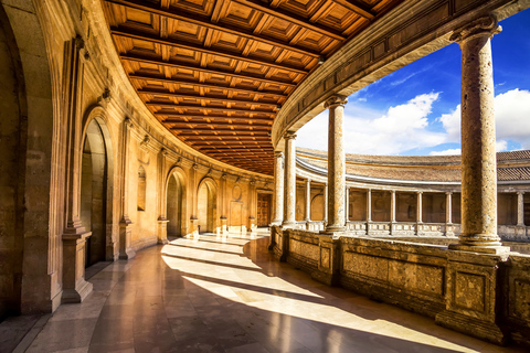 Granada: Alhambra und Nasridenpaläste Private TourPrivate Tour auf Englisch