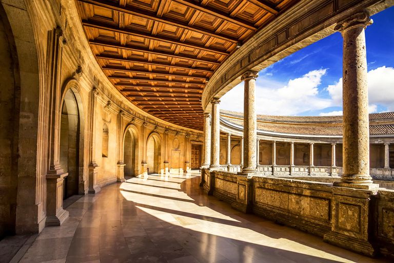 Granada: Alhambra and Nasrid Palaces Private TourPrivate Tour in Italian