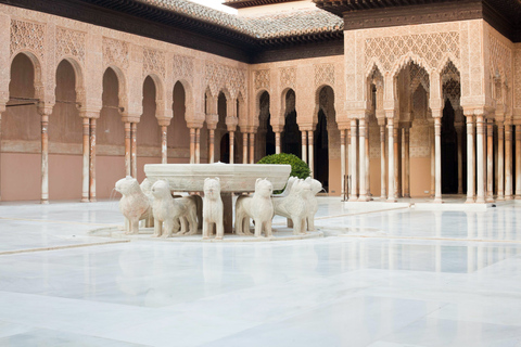 Granada: Alhambra and Nasrid Palaces Small Guided Tour Private Guided Tour