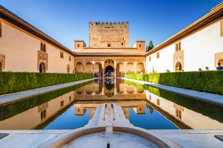 Grenade : Alhambra et palais Nasrides - Petite visite guidéeVisite en petit groupe