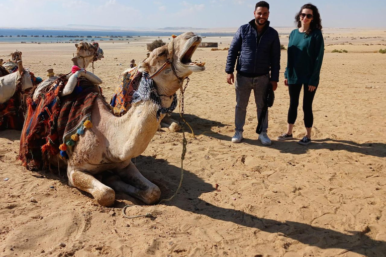 From Cairo: El Fayoum Pyramids Private Day TourTour including Transfers, Ita Guide, Lunch, and Entrance