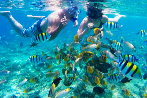 Gili Trawangan Group/Public Snorkeling 3 Gili's Island