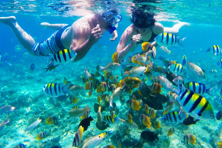 Gili Trawangan Group/Public Snorkeling 3 Wyspa Gili