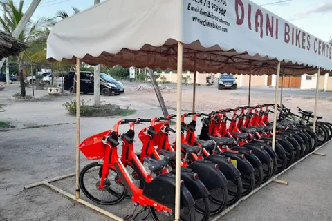 Diani Beach: dorpstour op de fiets met hotelovername
