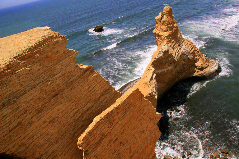 From San Martin Port: 3-Hour Paracas Reserve Tour