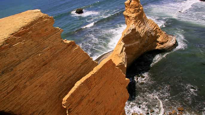 depuis le port de san martin visite de la réserve de paracas dune durée de 3 heures