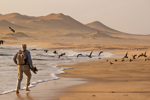 From San Martin Port: 3-Hour Paracas Reserve Tour