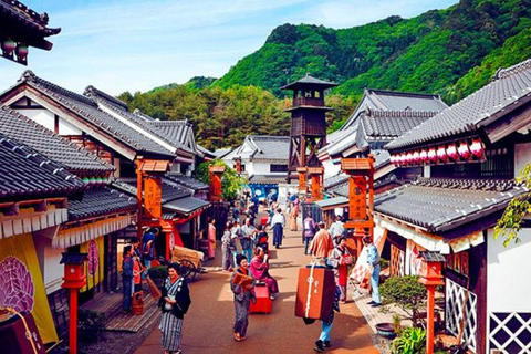 Tokyo: Nikko Luxury Private Day Tour with English guide
