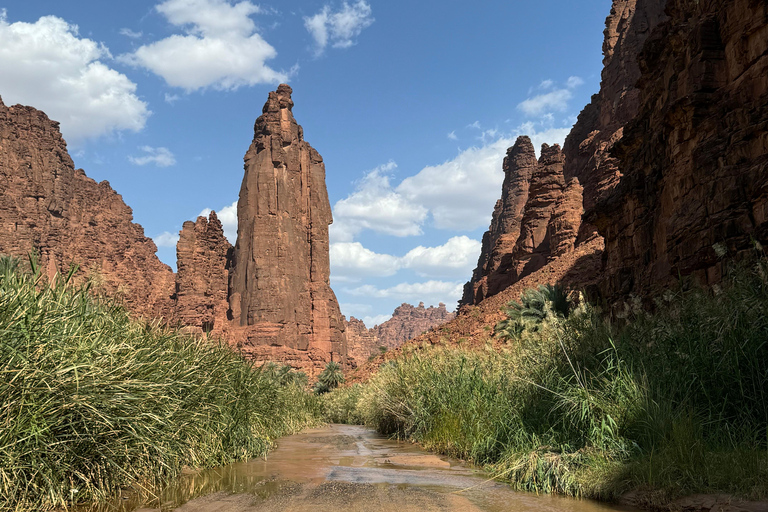 Full day tour A tour through Wadi Al Disa