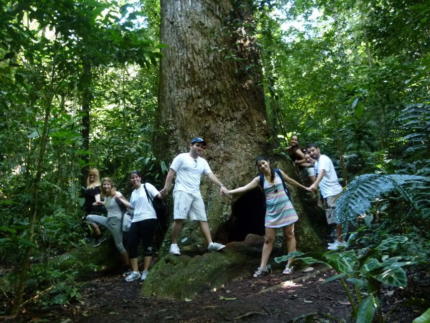 Passeios virtuais permitem visitas a museus, trilhas na floresta e diversos  pontos turísticos do RJ, Rio de Janeiro