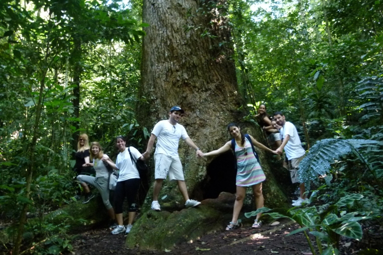 Rio: Tijuca Forest & Horto Waterfalls Circuit Tour Private Tour with Transportation