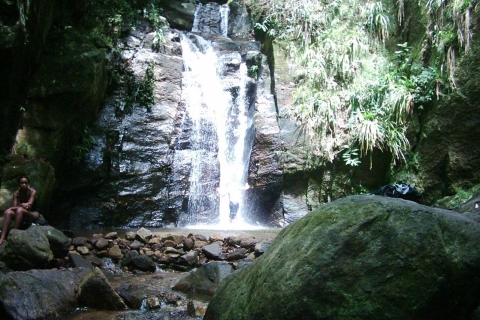 Rio: Tijuca Forest & Horto Waterfalls Circuit Tour Private Tour with Transportation