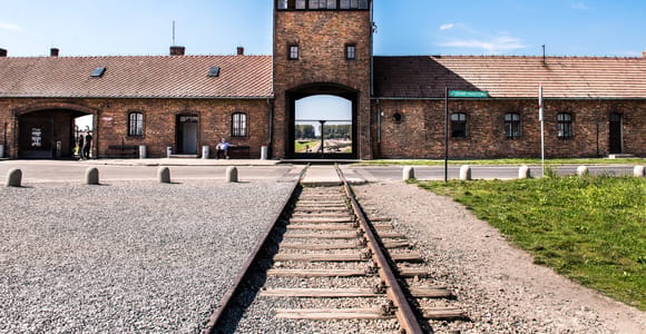 Auschwitz-Birkenau & Wieliczka Salt Mine 100% guaranteed