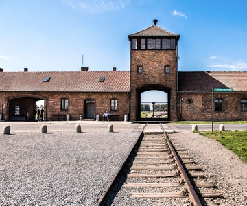 Krakow: Auschwitz-Birkenau & Wieliczka Salt Mine Day Tour