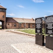 Auschwitz-Birkenau y mina de sal Wieliczka: tour y almuerzo