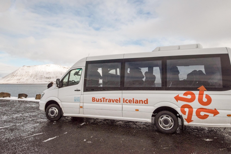 Reikiavik: tour de Snaefellsnes, Kirkjufell y playa de arena negra