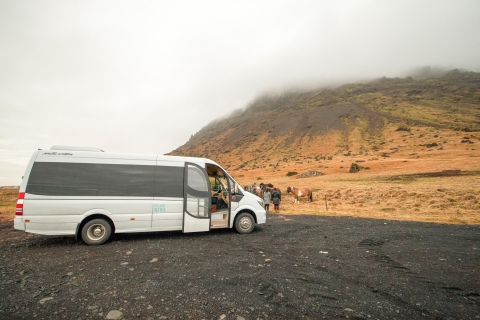 Reikiaivik: tour en grupo reducido por el sur de Islandia