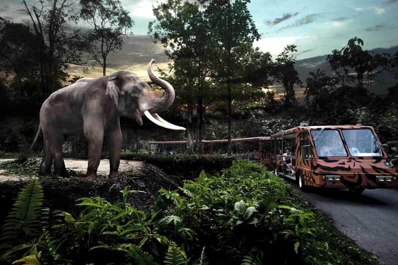 เที่ยวสวนสัตว์ยามค่ำคืน Singapore Night Safari