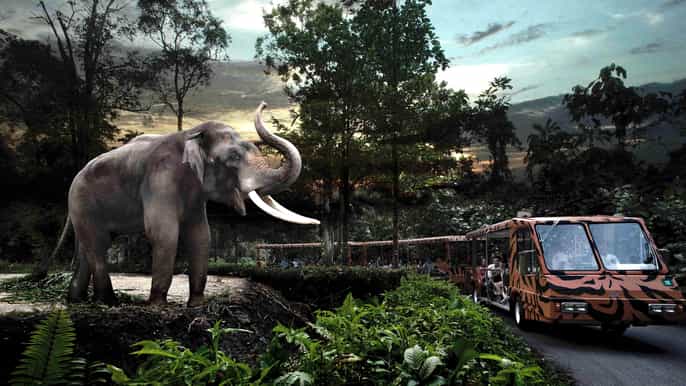 night safari ticket priority tram ride return transfer