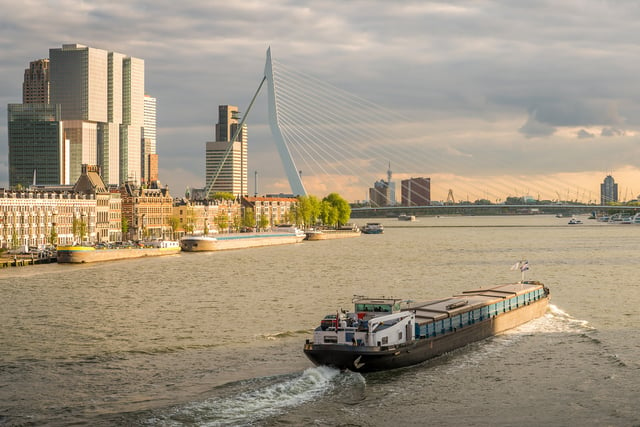 Depuis Amsterdam : visite Rotterdam et La Haye en espagnol