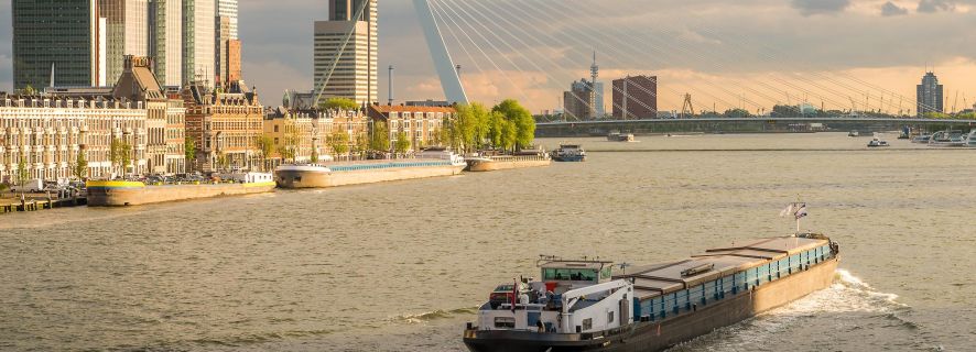 From Amsterdam: Rotterdam and The Hague Tour in Spanish