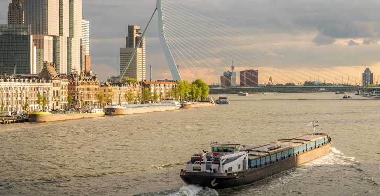 From Amsterdam: Rotterdam and The Hague Tour in Spanish