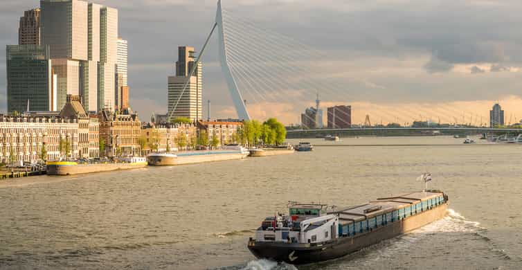 From Amsterdam: Rotterdam and The Hague Tour in Spanish