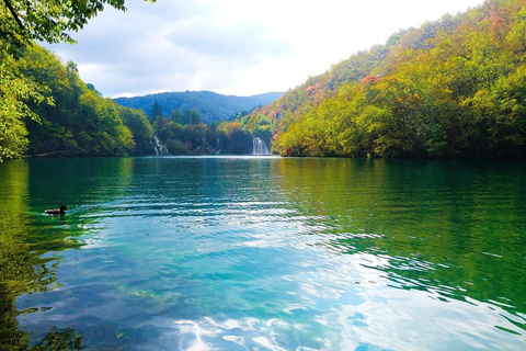 From Zagreb: Plitvice Lakes Guided Day Trip