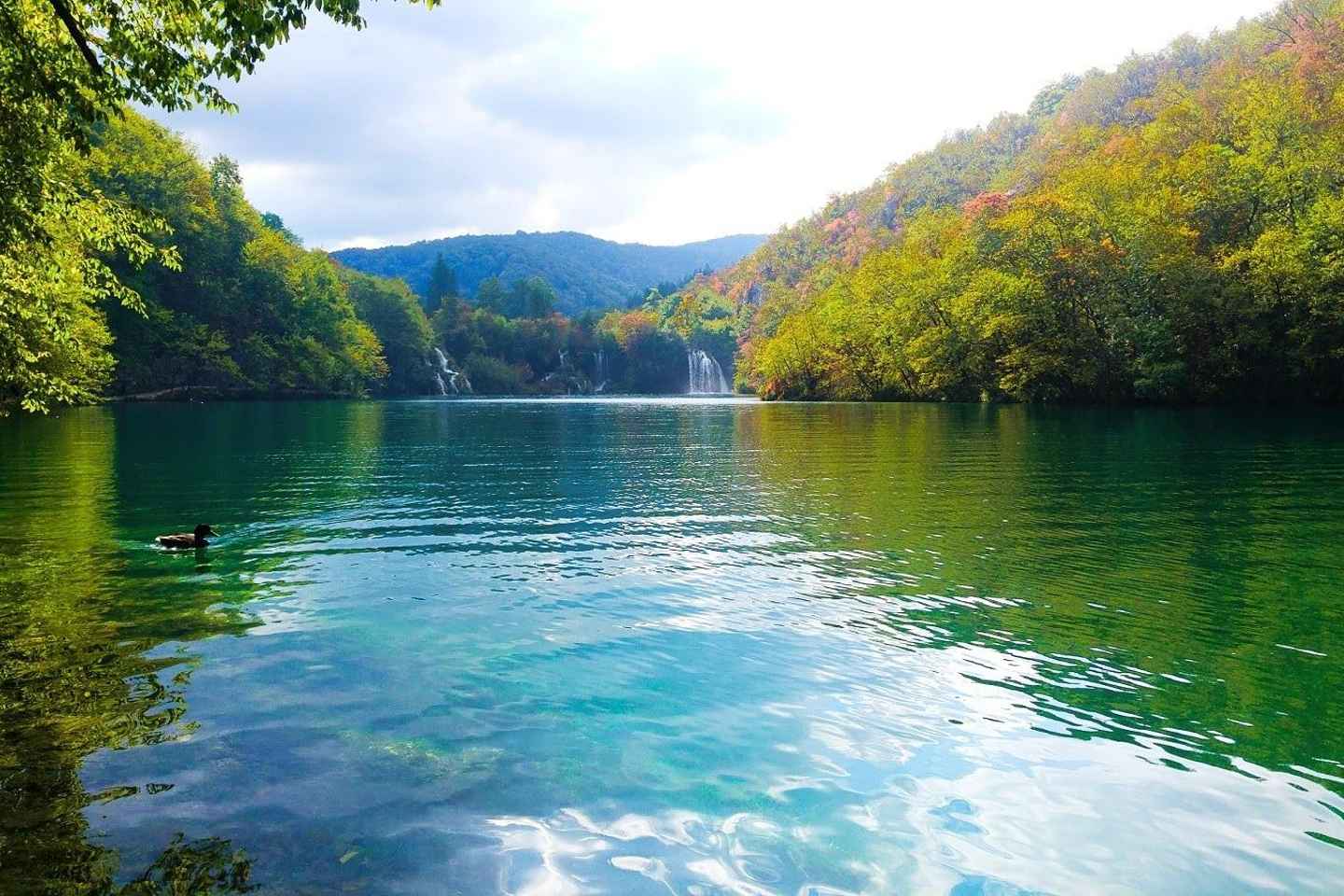 From Zagreb: Plitvice Lakes Guided Day Trip