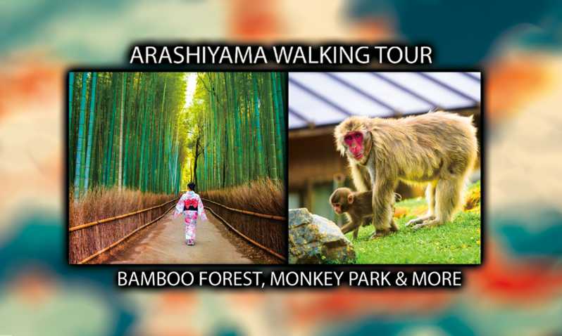 Kyoto: Arashiyama Bamboo Forest & Monkey Park Walking Tour