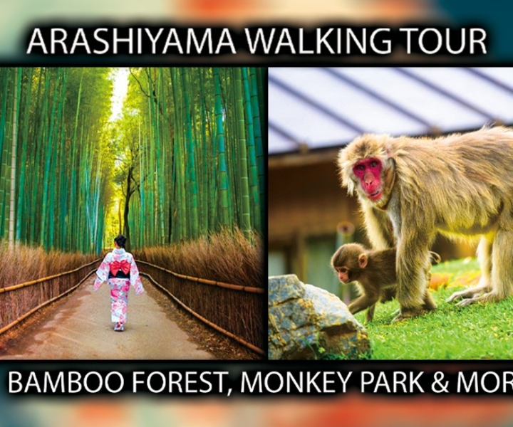 Kyoto: tour a piedi della foresta di bambù di Arashiyama e del parco delle scimmie