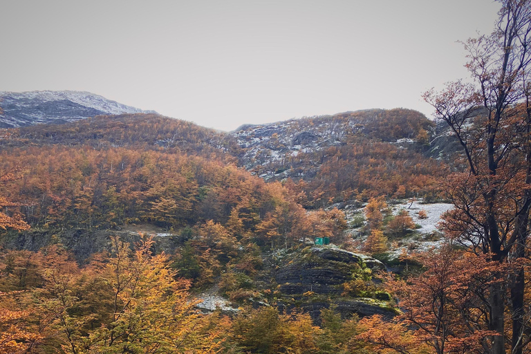 Torres del Paine: Aventura Express (2 dias)