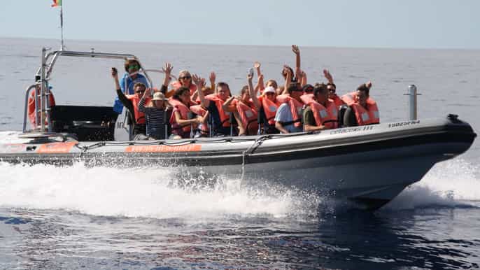 da funchal crociera di avvistamento di balene e delfini