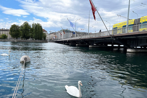 Visite complète de Genève. Prise en charge à l'hôtel, ONU & Vieille VilleVisite complète de Genève. Prise en charge à l'hôtel, ONU et Vieille Ville.