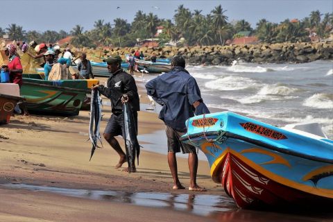 Au départ de Colombo : Visite du village de Hikkaduwa avec promenade en bateau et barbecue