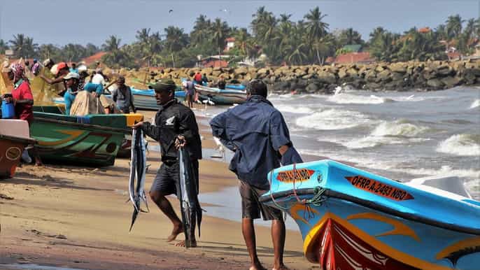 hikkaduwa village tour and authentic experience