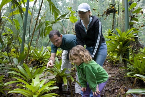 Ab San Jose: 2-stündige Naturerkundung von Costa Rica