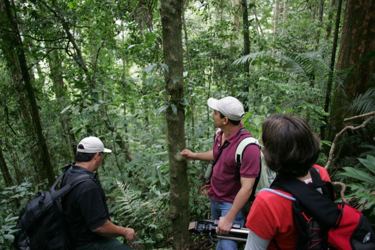 Ab San Jose: 2-stündige Naturerkundung von Costa Rica